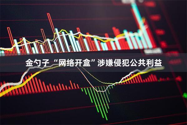 金勺子 “网络开盒”涉嫌侵犯公共利益