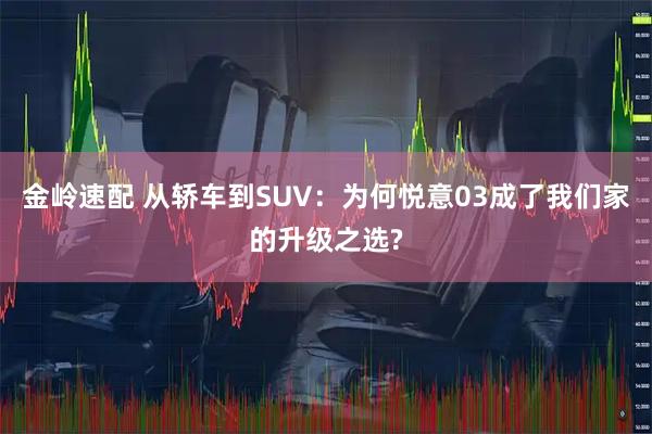 金岭速配 从轿车到SUV：为何悦意03成了我们家的升级之选?