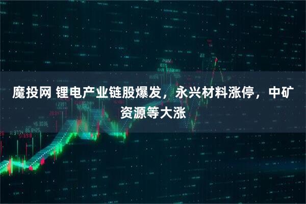 魔投网 锂电产业链股爆发,永兴材料涨停,中矿资源等大涨