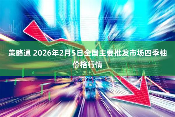 策略通 2026年2月5日全国主要批发市场四季柚价格行情